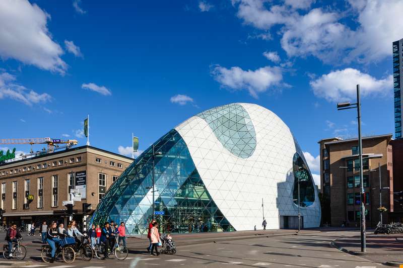 Eindhoven's Buildings: A Haven for Urban Birdlife