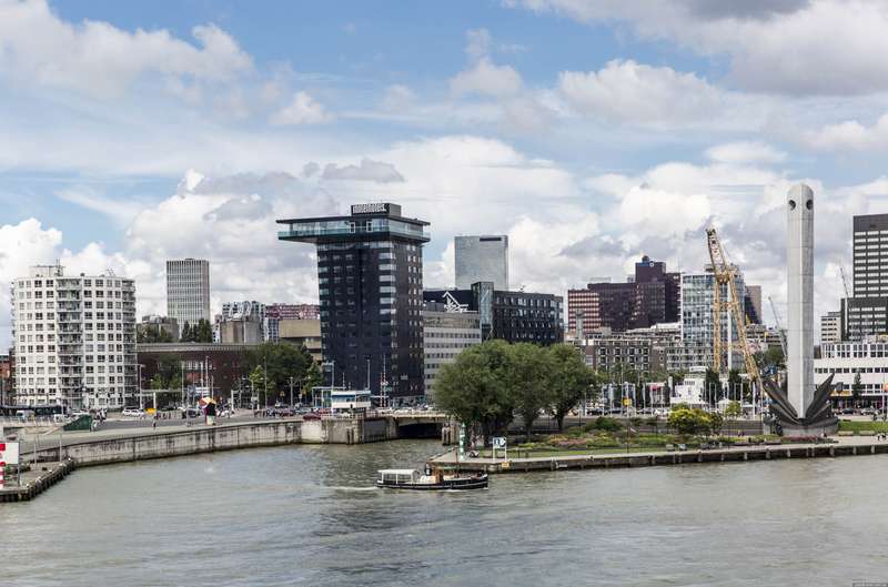 Rotterdam's Vegan Bitterballen: A New Twist on a Dutch Classic