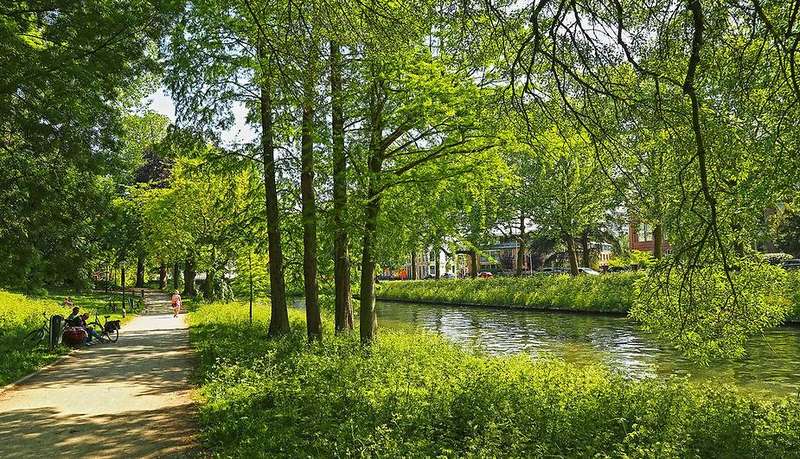 Utrecht's Urban Parks: A Haven for Foxes and Hedgehogs