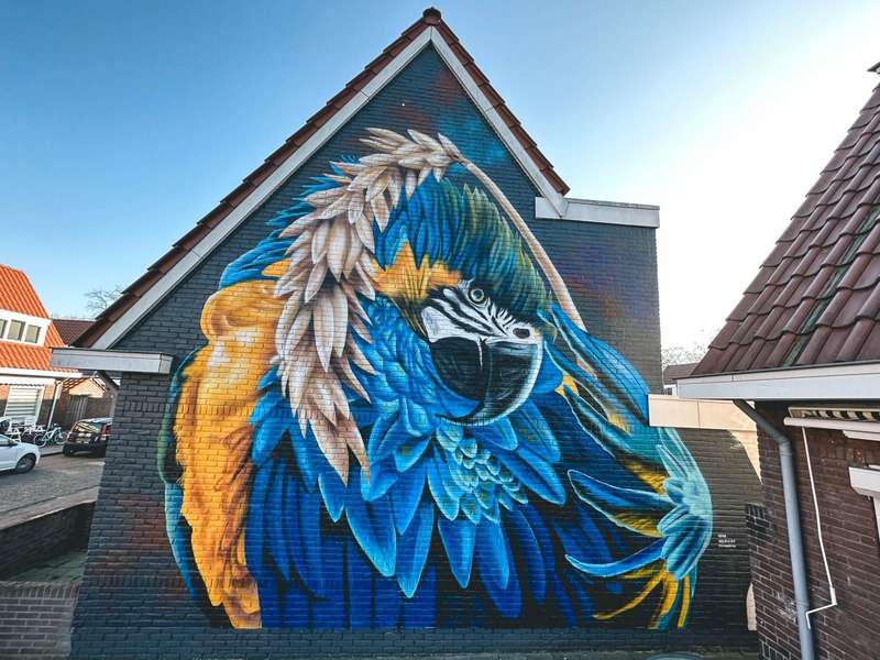 Exploring Deventer's Creative Scene: Art and Innovation