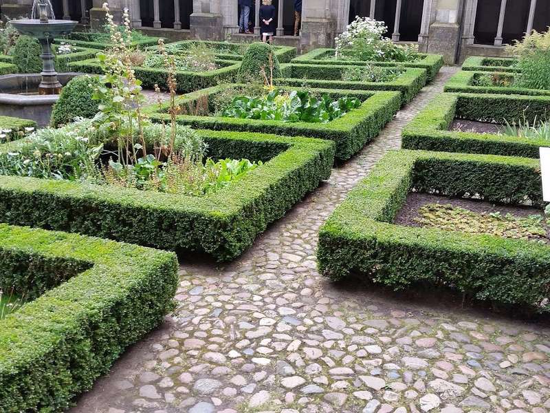 Observing Avian Adaptation in Utrecht’s City Gardens