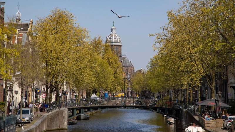 Exploring Amsterdam's Secret Gardens: Art Meets Nature