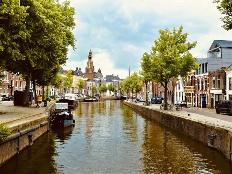 Green Rooftops Boost Flood Resilience in Groningen