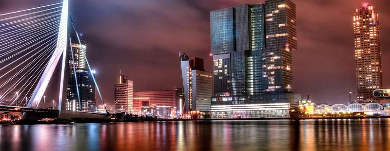 Rotterdam's Rooftop Gardens: Boosting Urban Wildlife Habitats