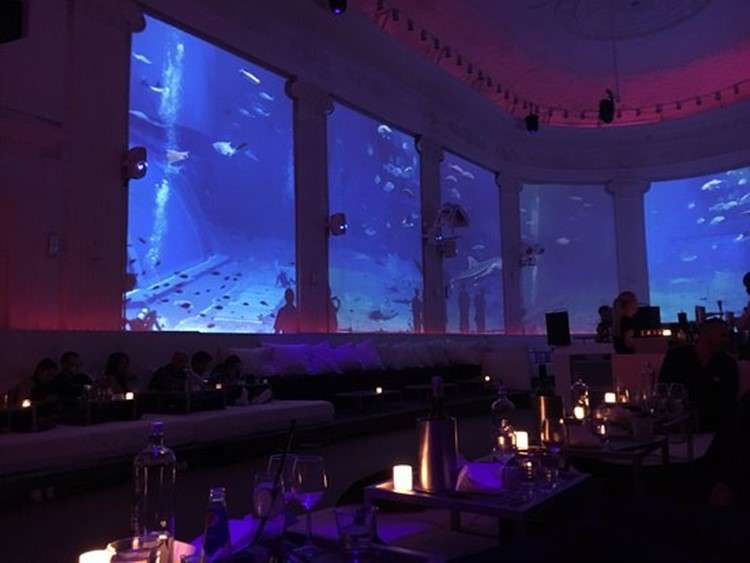 Exploring Amsterdam's Underground Supper Clubs: A Night Owl's Guide