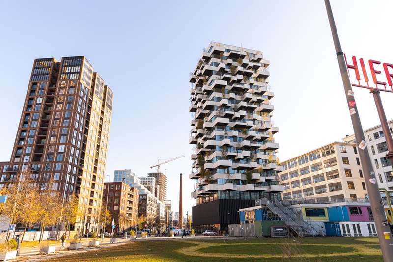 Eindhoven's Architecture: A Haven for Urban Parakeets