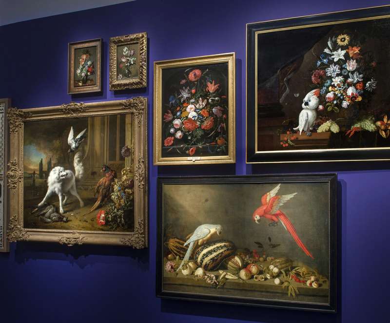 Exploring Utrecht's Unique Mathematical Museums and Exhibits