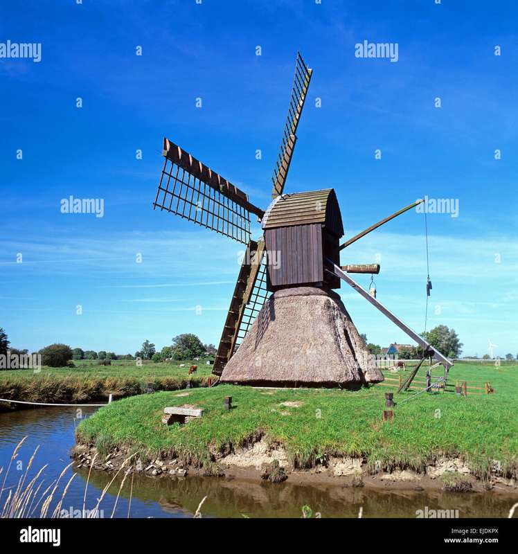 Friesland's Windmill Restorations: Stories of Craft and Community