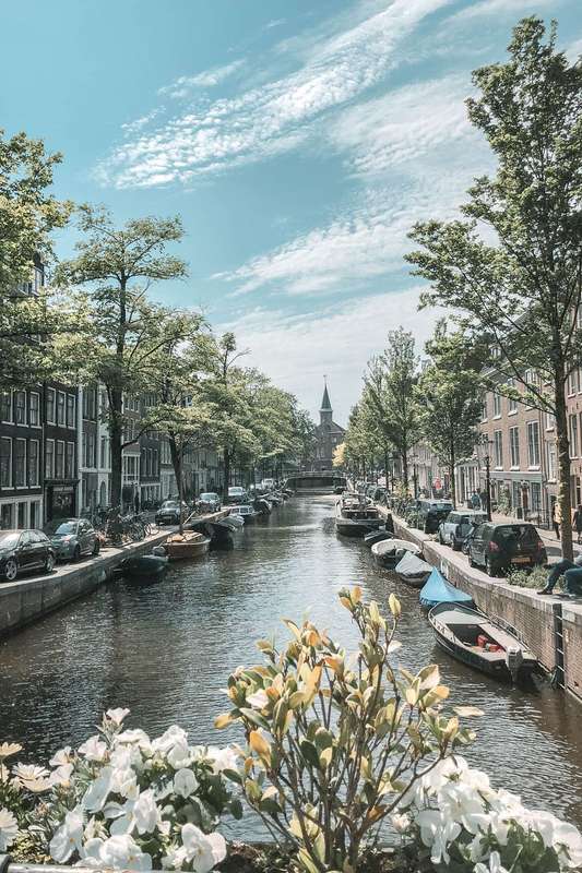 Exploring Amsterdam's Quiet Canal Districts and Street Art