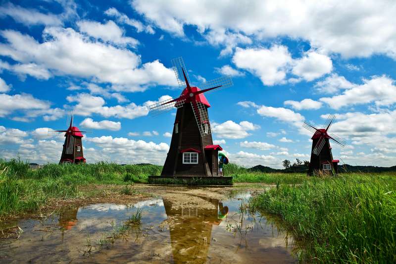 Capturing Windmills in Winter: Natural Filters for Stunning Photos