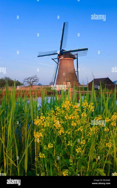 Photographing Fog and Hoarfrost at Kinderdijk Windmills