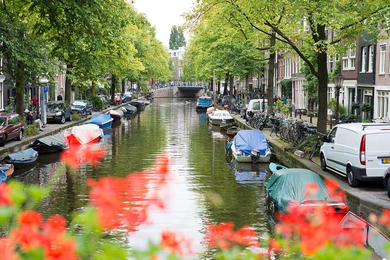 Underwater Soundscapes: Amsterdam's Canals as Urban Fish Habitats
