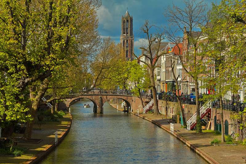 Biodiversity in Utrecht's Hidden City Streams