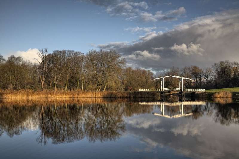 Ghostly Legends of Amsterdamsche Bos: Spirits in the Green Lung